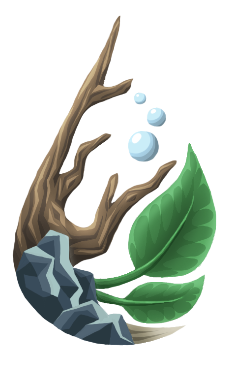 photo 12 07 2024, 11 26 30 (1)